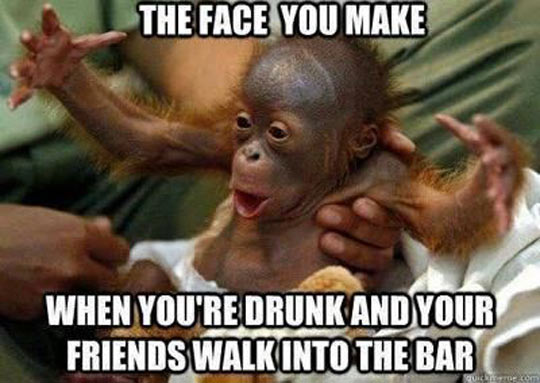 funny-monkey-baby-arms-drunk1.jpg