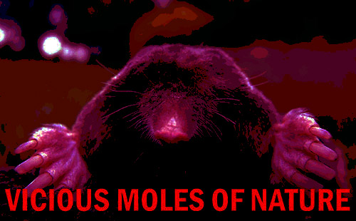 Vicious Mole Main Title 2