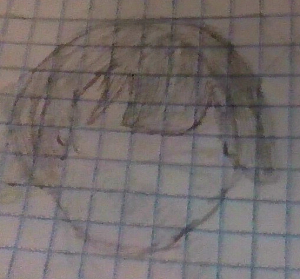 Hair