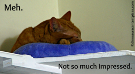 unimpressed.jpg